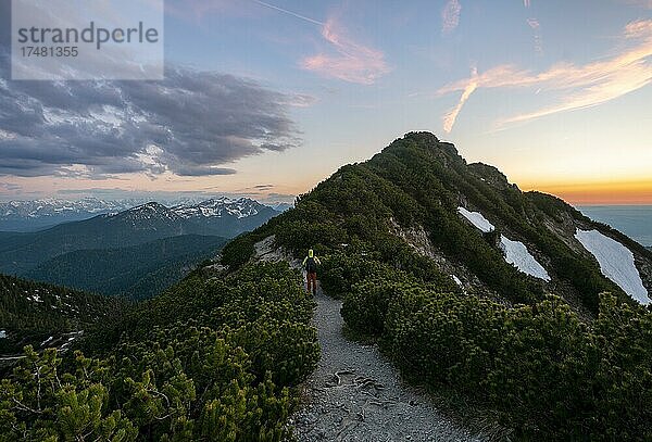 Wanderer am Wanderweg zum Herzogstand  Blick auf Karwendelgebirge bei Sonnenuntergang  Gratwanderung Herzogstand Heimgarten  Oberbayern  Bayern  Deutschland  Europa