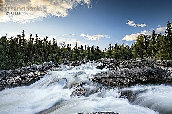 Stromschnellen des Fluss Gamajåhkå  Kvikkjokk  Laponia  Norrbotten  Lappland  Schweden  Europa