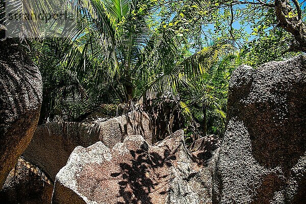 Granitfelsen  Strände und Dschungel im atemberaubenden Süden von La Digue  Seychellen  La Digue  Seychellen  Afrika
