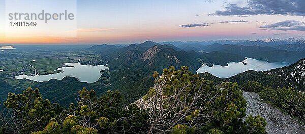 Ausblick vom Gipfel des Herzogstand  Bergpanorama mit Kochelsee und Walchensee bei Sonnenuntergang  Gratwanderung Herzogstand Heimgarten  Oberbayern  Bayern  Deutschland  Europa