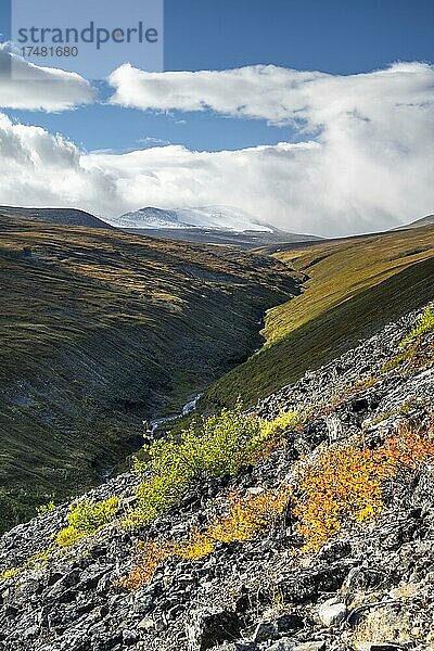 Herbstliche Fjälllandschaft  Fluss Cievrrajohka  Nikkaluokta  Lappland  Schweden  Europa