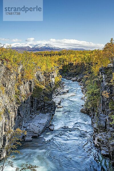 Herbstlicher Abisko Canyon  Fluss Abiskojåkka  Abiskojakka  Abisko Nationalpark  Lappland  Schweden  Europa