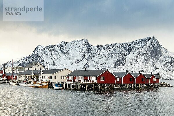 Rote Bootshäuser im winterlichen Hafen  skandinavisches Bootshaus  Berge  Schnee  Fjord  Meer  Hamnøy  Nordland  Lofoten  Norwegen  Europa