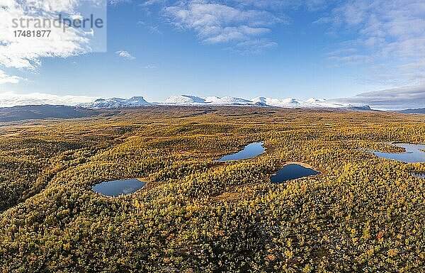 Herbstliche Fjälllandschaft und Seen mit verschneiten Bergen  Abisko  Lappland  Schweden  Europa