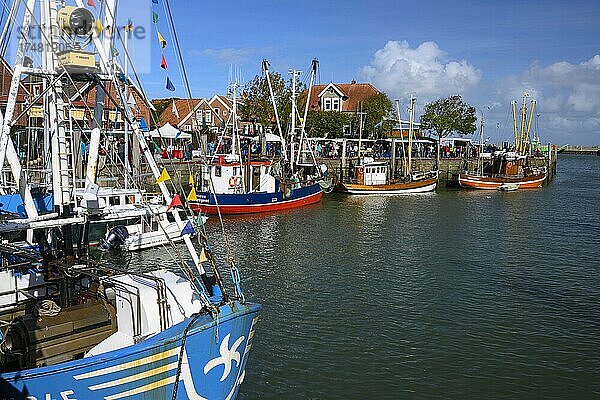 Hafen mit Fischkuttern an der ostfriesischen Nordseeküste  Neuharlingersiel  Niedersachsen  Deutschland  Europa