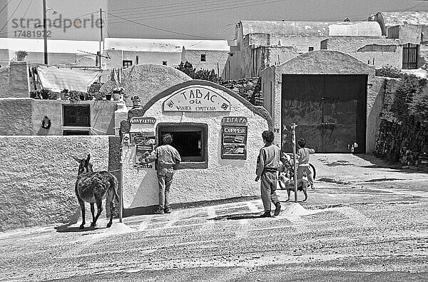 Griechenland 1990  Mann mit Esel vor Kiosk  Kinder vor Kiosk  Reisefotografie  Urlaub  Menschen am Kiosk  Tabakgeschäft  Tourismus  Oia  Santorini  Insel im Mittelmeer  Ägäis   Griechenland  Europa
