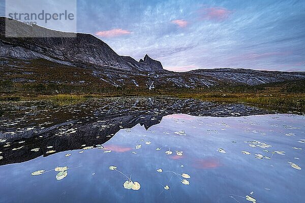 Berg Kulhornet spiegelt sich in kleinem Teich  Morgenstimmung  Efjord  Tysfjord  Ofoten  Nordland  Norwegen  Europa