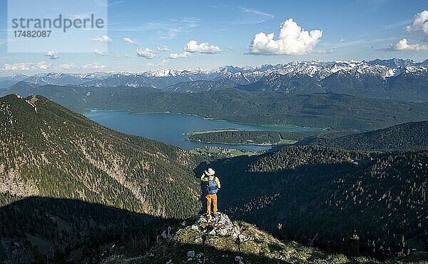 Wanderer blickt auf Bergpanorama  Wanderer am Gipfel des Heimgarten  Gratwanderung Herzogstand Heimgarten  hinten schneebedecktes Karwendel und Walchensee  Oberbayern  Bayern  Deutschland  Europa