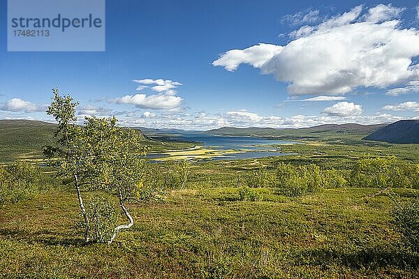 Blick auf Flussdelta des Visttasjohka und See Paittasjärvi  Nikkaluokta  Lappland  Schweden  Europa