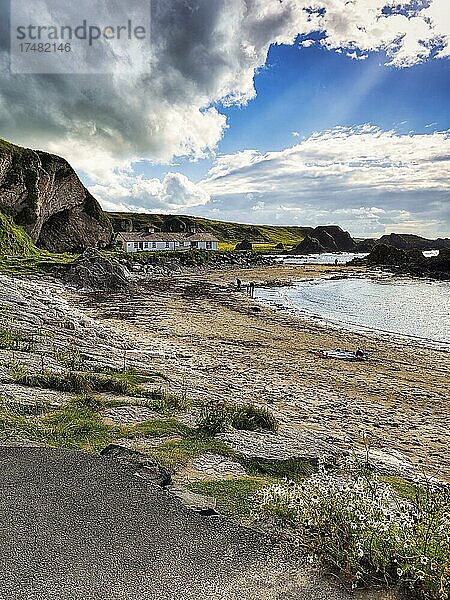 Felsenküste  Klippen  kleiner Sandstrand  Ballintoy  Antrim  Nordirland  Großbritannien  Europa