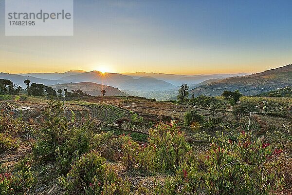 Feld  Anbau  Landschaft  Region Harar  Äthiopien  Afrika