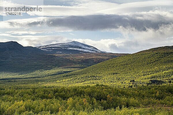 Fjälllandschaft bei Nikkaluokta  Lappland  Schweden  Europa