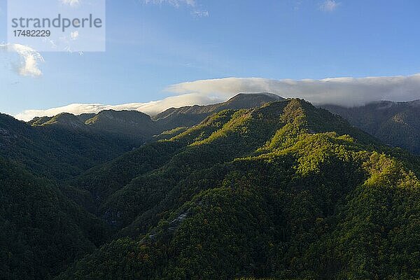 Casentinesi Wälder NP  Wälder bei Sonnenaufgang im Herbst  Apennin  Toskana  Italien  Europa