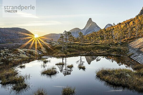 Stetind spiegelt sich in kleinem Teich  Sonnenaufgang  norwegischer Nationalberg  Tysfjord  Ofoten  Nordland  Norwegen  Europa