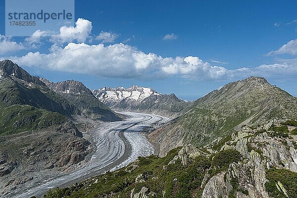 Landschaft mit dem Weltnaturerbe Aletschgletscher  Riederalp  Wallis  Schweiz  Europa