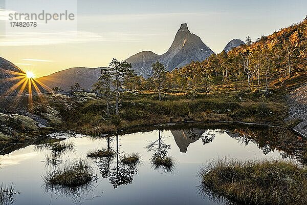 Stetind spiegelt sich in kleinem Teich  Sonnenaufgang  norwegischer Nationalberg  Tysfjord  Ofoten  Nordland  Norwegen  Europa