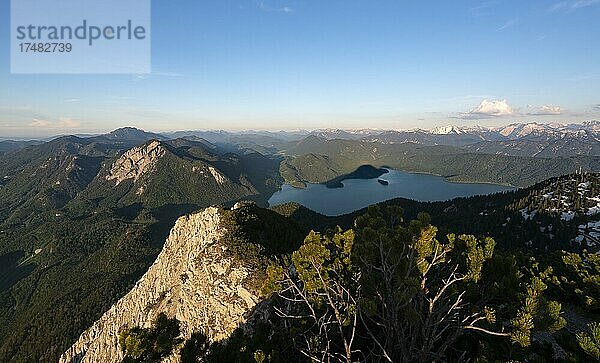 Ausblick vom Gipfel des Herzogstand  Blick auf Walchensee im Abendlicht  Gratwanderung Herzogstand Heimgarten  Oberbayern  Bayern  Deutschland  Europa