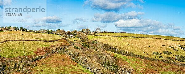 Wiesen in Herbstfarben  Kingswear  Brixham  Devon  England  Großbritannien  Europa