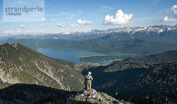 Wanderer blickt auf Bergpanorama  Wanderer am Gipfel des Heimgarten  Gratwanderung Herzogstand Heimgarten  hinten schneebedecktes Karwendel und Walchensee  Oberbayern  Bayern  Deutschland  Europa