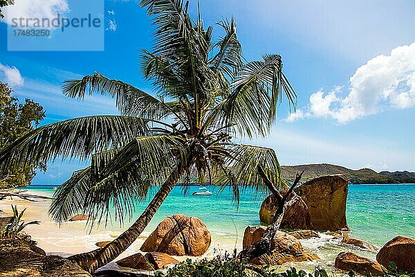 Traumstrand mit Granitfelsen und Palmen  Anse Boudin  Praslin  Seychellen  Praslin  Seychellen  Afrika