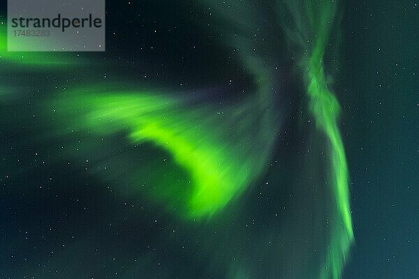 Polarlicht in winterlicher skandinavische Landschaft  Nordlicht (Aurora borealis)  Meer  Berge  Sterne  Flakstad  Nordland  Lofoten  Norwegen  Europa
