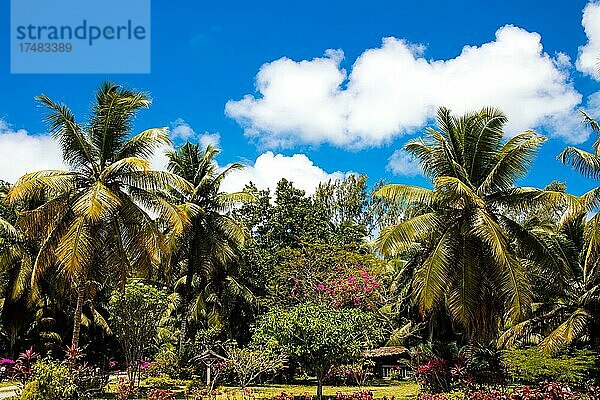 Üppige Gartenanlage  Cote d'Or  Praslin  Seychellen  Praslin  Seychellen  Afrika