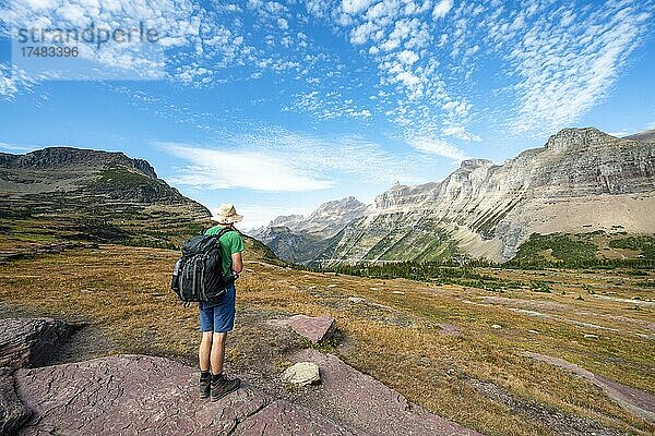 Wanderer auf einem Wanderweg  Hidden Lake Trail  hinten Mount Oberlin und Bishops Cap  Glacier-Nationalpark  Rocky Mountains  Montana  USA  Nordamerika