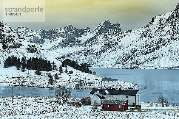 Abendrot in winterlicher skandinavischer Landschaft  Berge  Schnee  Ramberg  Nordland  Lofoten  Norwegen  Europa