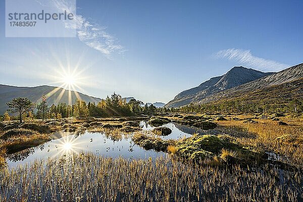 Kleiner Teich mit Moorlandschaft  Efjord  Tysfjord  Ofoten  Nordland  Norwegen  Europa