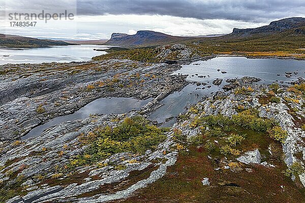 Herbstliche Fjälllandschaft  Stora Sjöfallet Nationalpark  Laponia  Norrbotten  Lappland  Schweden  Europa