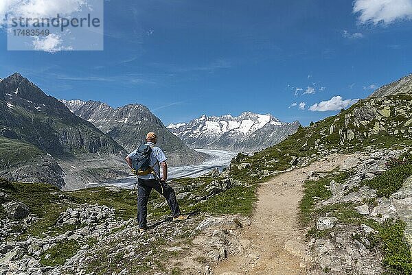 Wanderer beim Weltnaturerbe Aletschgletscher  Riederalp  Wallis  Schweiz  Europa