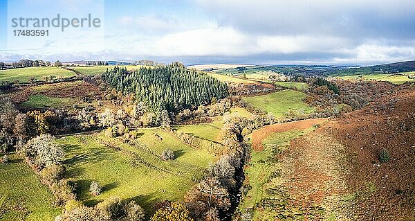 Herbstfarben über dem Fluss Dart  Dartmoor Park  Devon  England  Großbritannien  Europa