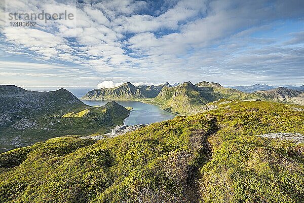 Blick vom Berg Kollfjellet auf Fjord und Berge der Lofoten  Flakstadøya  Lofoten  Norwegen  Europa