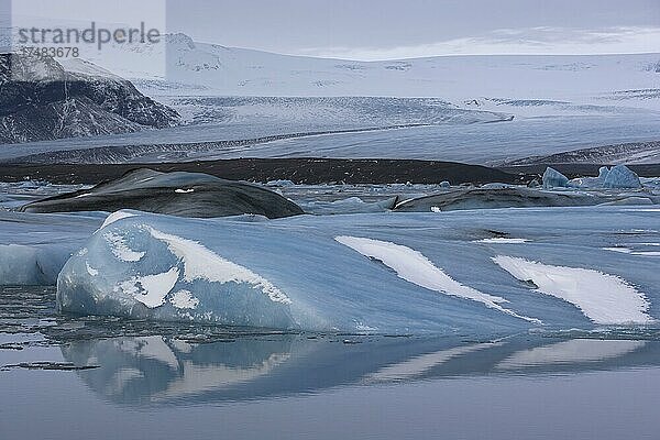 Eisberge in der Gletscherlagune Jökulsárlón  mit Spiegelung  dahinter Gletscher Breiðamerkurjökull  Nationalpark Vatnajökull  Südisland  Island  Europa