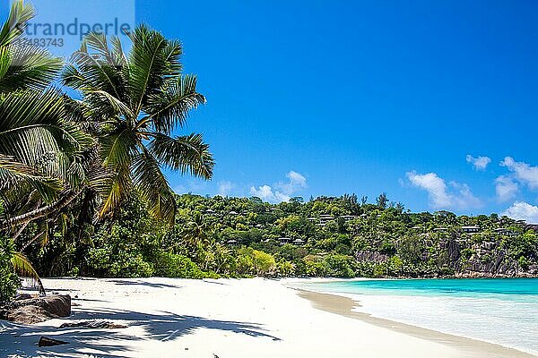 Palmen am Strand Petite Anse mit Grantifelsen  der Geheimtipp unter den Buchten im Süden Mahés  Seychellen  Mahe  Seychellen  Afrika