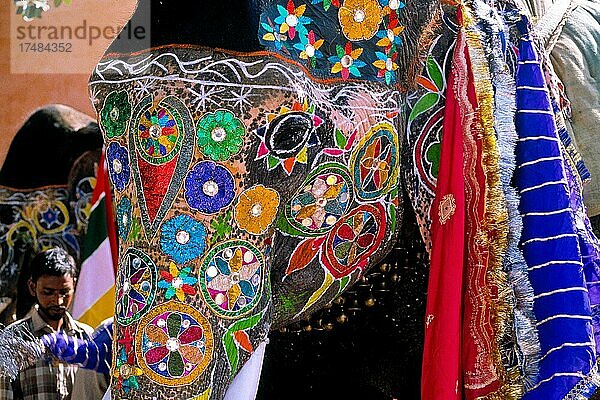 Festliche Umzege mit Kamelen und Elefanten  Holi-Fest  Jaipur  Rajasthan  Indien  Asien