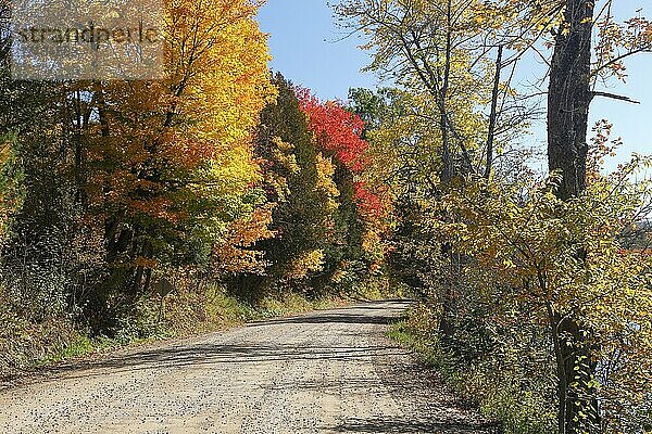 Landstraße im Herbst  Provinz Quebec  Kanada  Nordamerika