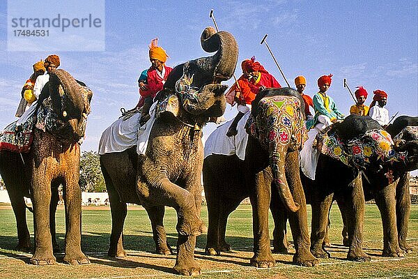 Elefantenpolo beim Holi-Fest  Jaipur  Rajasthan  Indien  Asien