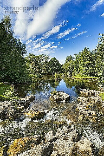 Teich mit Felsen im St Fiachras Garten  Irisches Nationalgestüt  Tully  Kildare  Irland  Europa