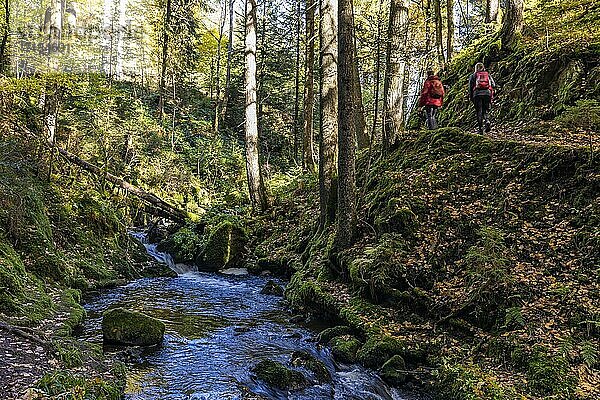 Wanderer in der Ravennaschlucht  Höllental  Schwarzwald  Baden-Württemberg  Deutschland  Europa