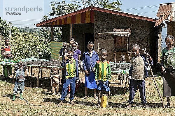 Kinder  Kaffee Trocknung  Kaffa  Äthiopien  Afrika