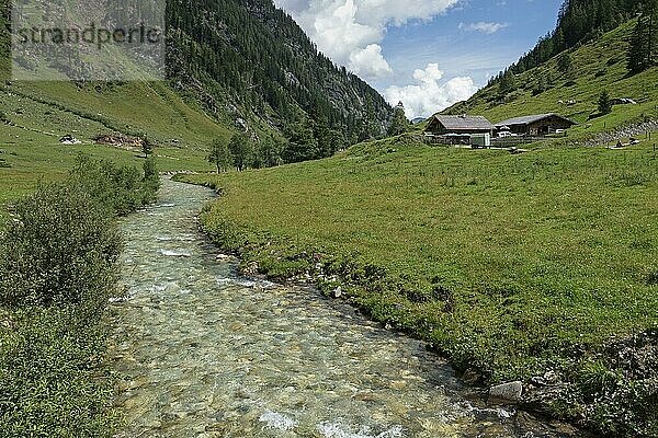 Seidlwinklache  Bach im Seidlwinkltal  im Hintergrund die Gollehenalm  Raurisertal  Pinzgau  Salzburger Land  Österreich  Europa