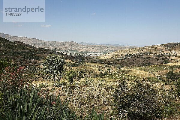 Landschaft  Felder  Anbaugebiet  Oromia  Äthiopien  Afrika