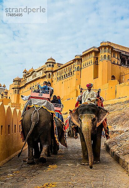 Auf dem Rücken der Elefanten zum Fort Amber  Amber  Rajasthan  Indien  Asien