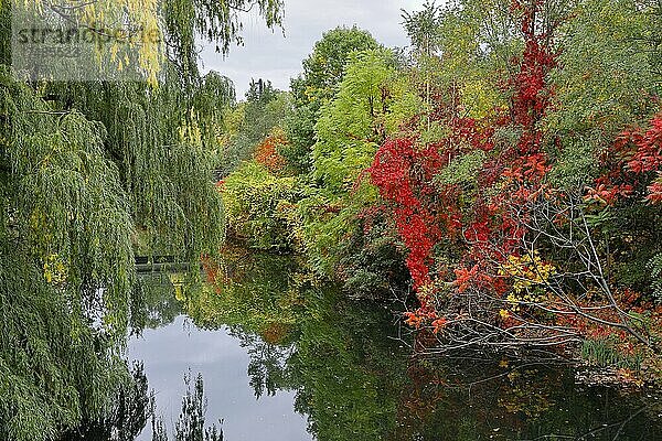 Teich im Herbst  Insel Notre Dame  Montreal  Provinz Quebec  Kanada  Nordamerika