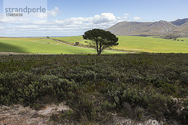 Landschaft  Stanford Valley Guest Farm  Stanford  Westkap  Südafrika.