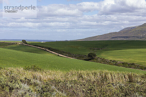 Landschaft  Stanford Valley Guest Farm  Stanford  Westkap  Südafrika.