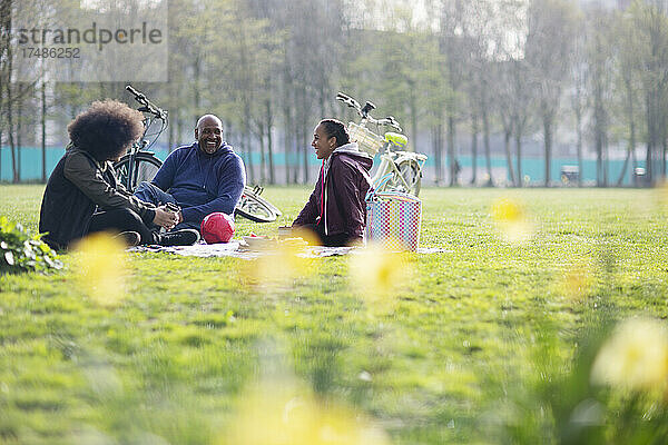 Glücklicher Vater und Kinder auf einer Decke im Frühlingspark