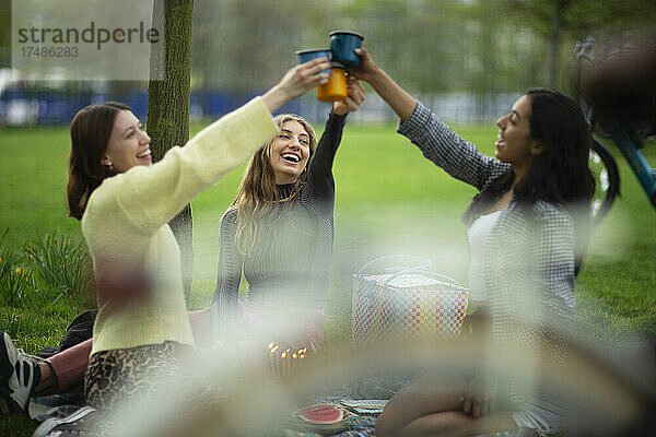 Glückliche junge Frauen stoßen beim Picknick im Park mit Gläsern an