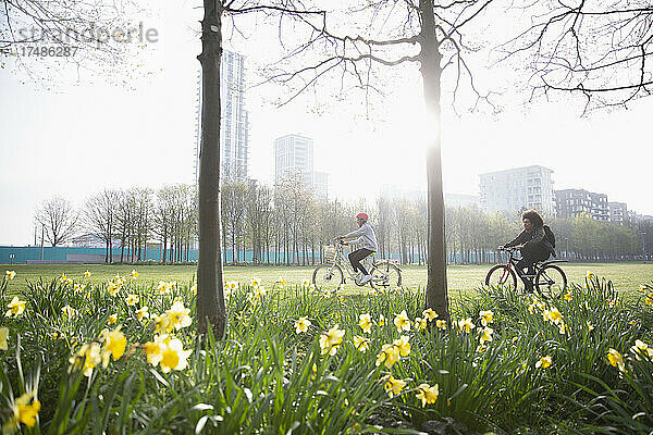 Junge erwachsene Freunde fahren Fahrrad in einem sonnigen städtischen Frühlingspark